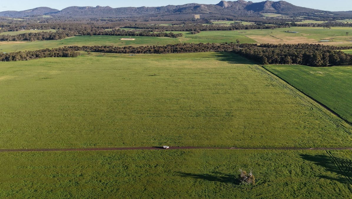 491 Knight Road, Porongurup, WA, 6324 - Image 7