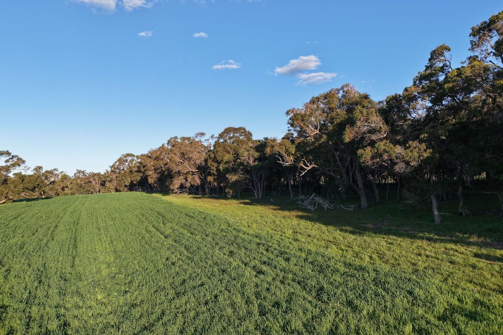 491 Knight Road, Porongurup, WA, 6324 - Image 12