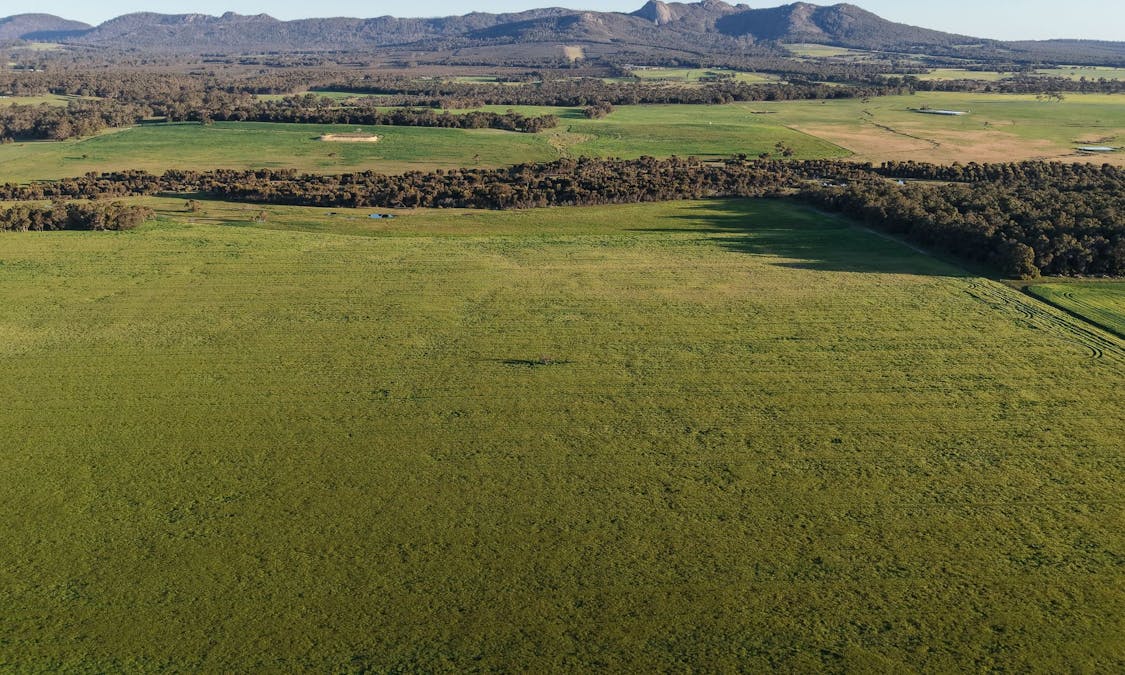 491 Knight Road, Porongurup, WA, 6324 - Image 5