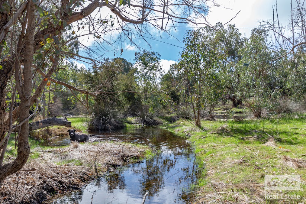 229 Leeder Road, Mokine, WA, 6401 - Image 29