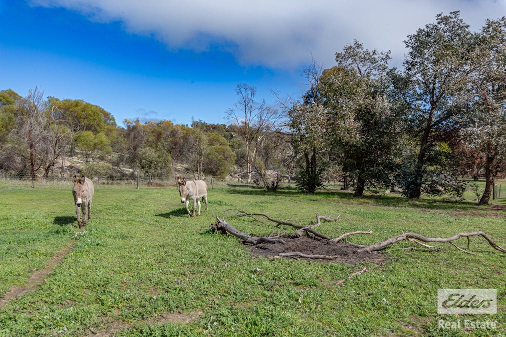 229 Leeder Road, Mokine, WA, 6401 - Image 31