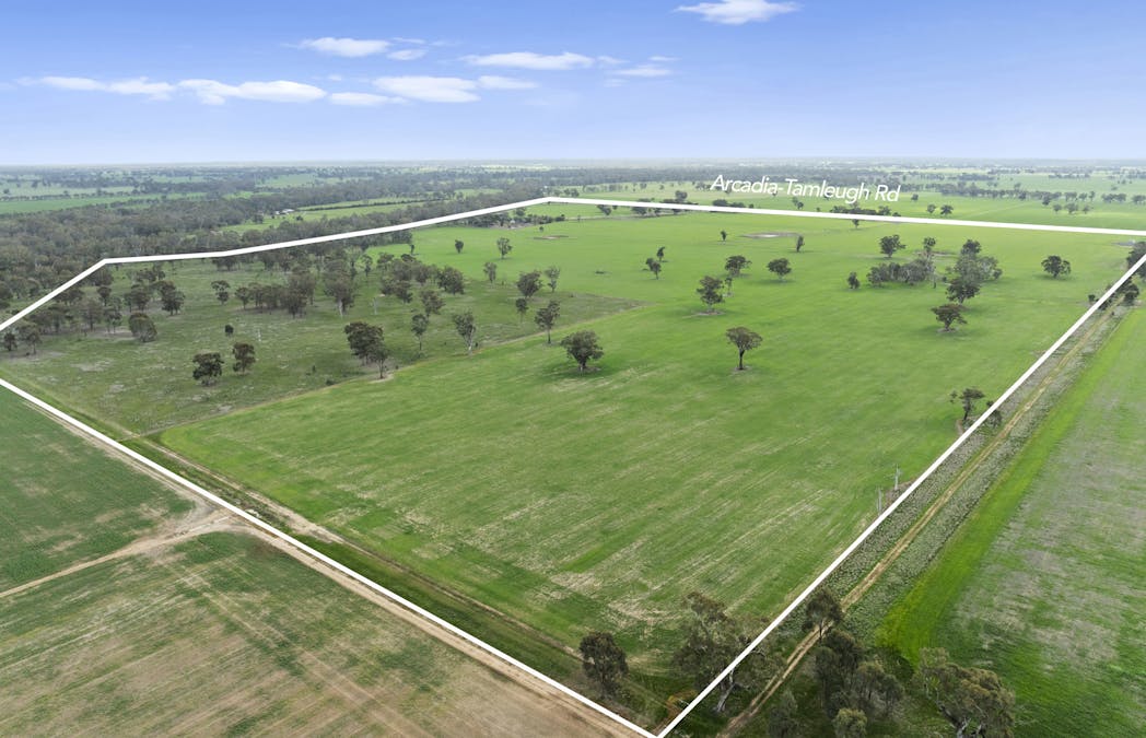 190 Arcadia-Tamleugh Road, Miepoll, VIC, 3666 - Image 23