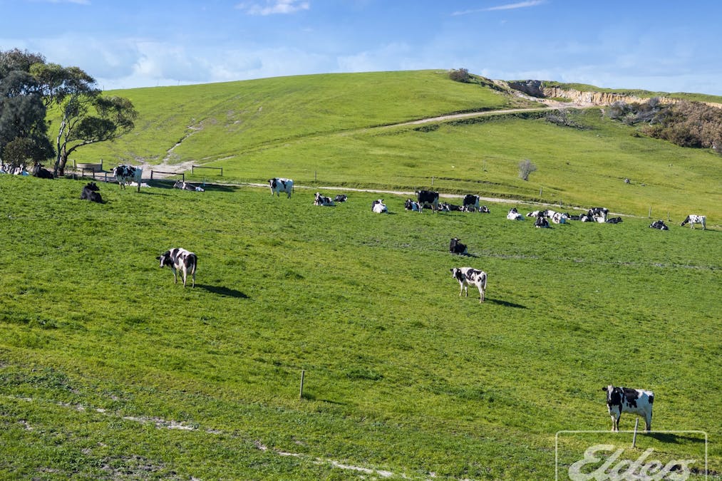 101 Nottle Road, Lower Inman Valley, SA, 5211 - Image 16