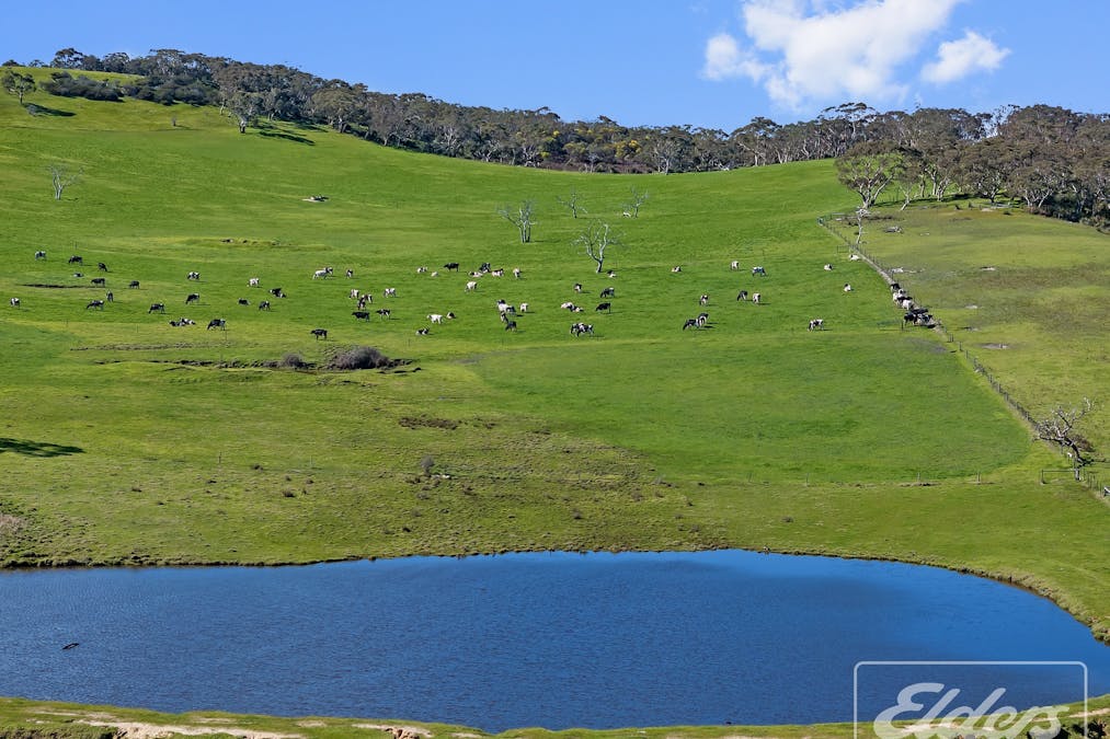 101 Nottle Road, Lower Inman Valley, SA, 5211 - Image 21
