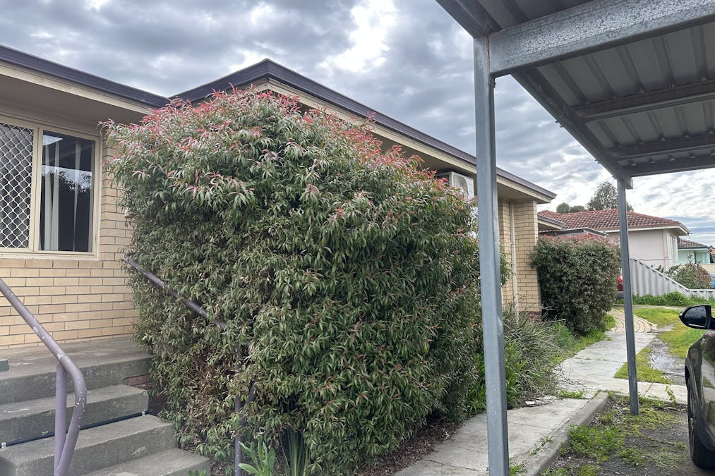 15A Beeck Street , Katanning, WA, 6317 - Image 15