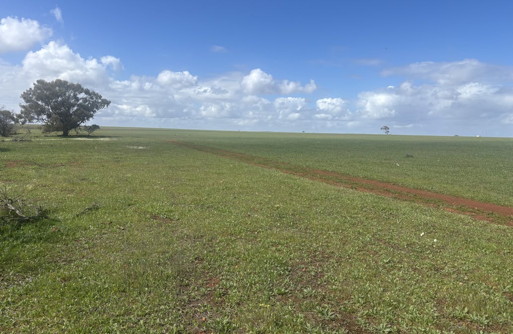 768 Nangerwalla Road, Nunierra, WA, 6630 - Image 4