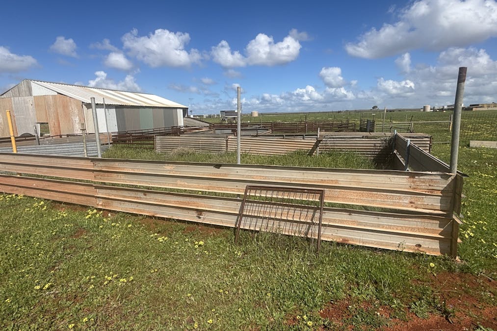 768 Nangerwalla Road, Nunierra, WA, 6630 - Image 18