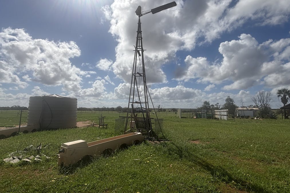 768 Nangerwalla Road, Nunierra, WA, 6630 - Image 10