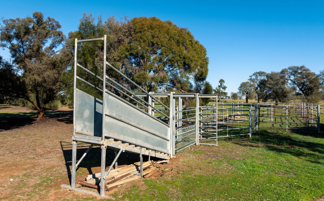Newell Highway, Jerilderie, NSW, 2716 - Image 11