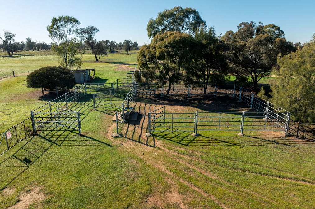 Newell Highway, Jerilderie, NSW, 2716 - Image 12