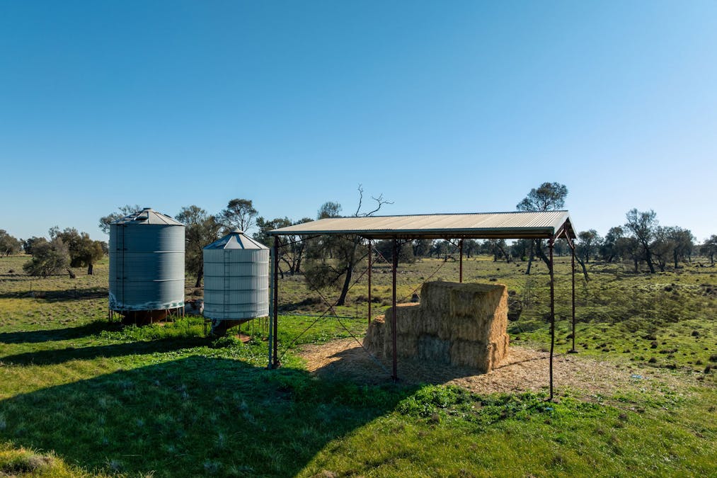 Newell Highway, Jerilderie, NSW, 2716 - Image 13