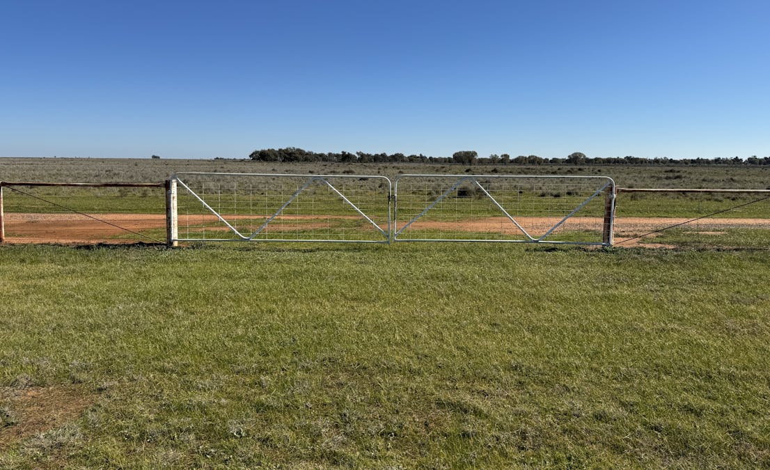 Newell Highway, Jerilderie, NSW, 2716 - Image 34