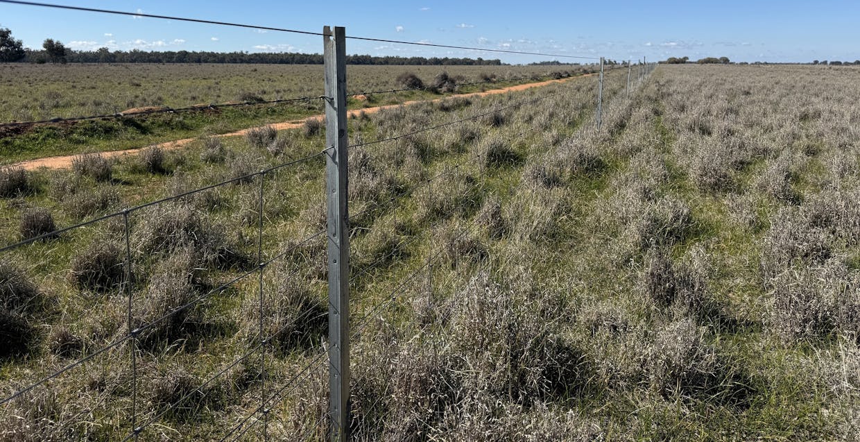 Newell Highway, Jerilderie, NSW, 2716 - Image 35