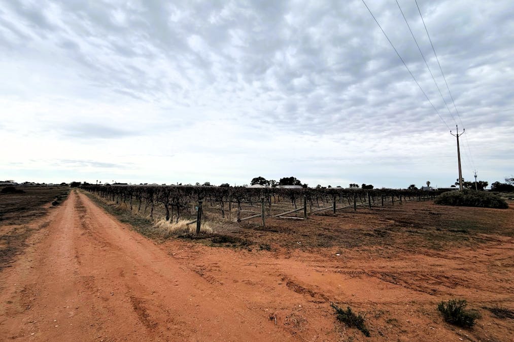 445/Government Road, Renmark, SA, 5341 - Image 2