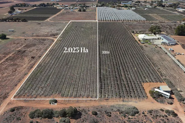 Government Road — photo from Elders Real Estate Waikerie