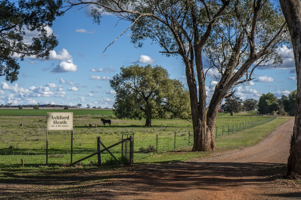 Ashford Heath 47 Adios Lane, Bogan Gate, NSW, 2876 - Image 2