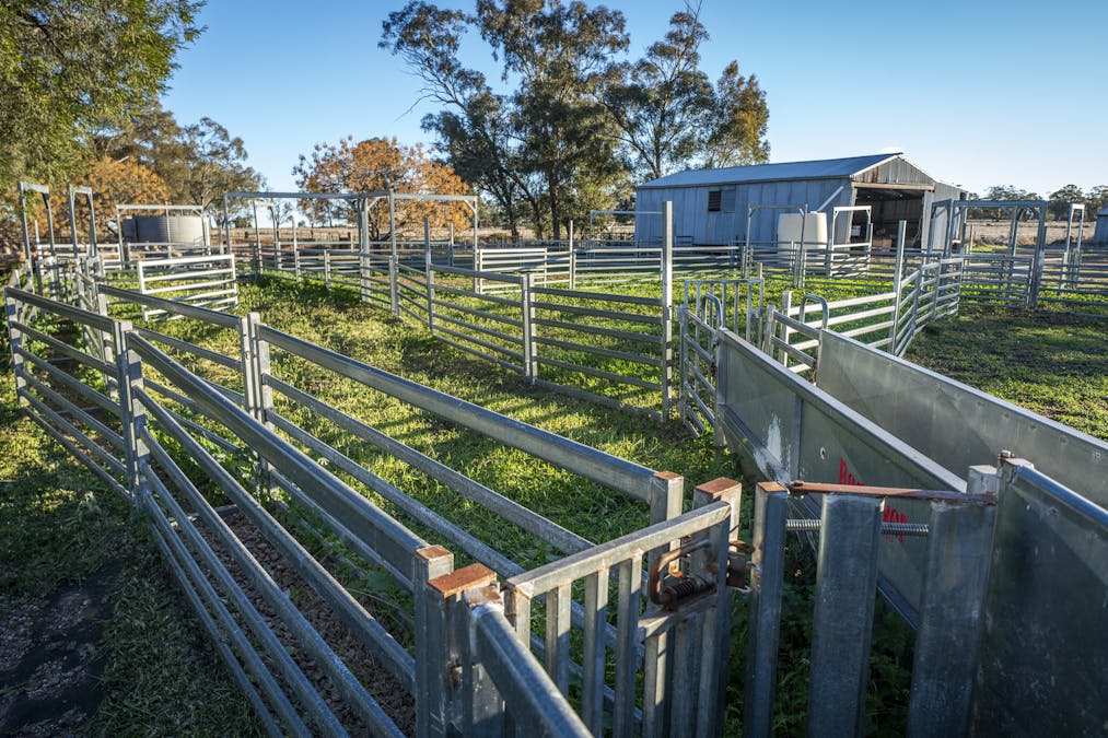 Ashford Heath 47 Adios Lane, Bogan Gate, NSW, 2876 - Image 8