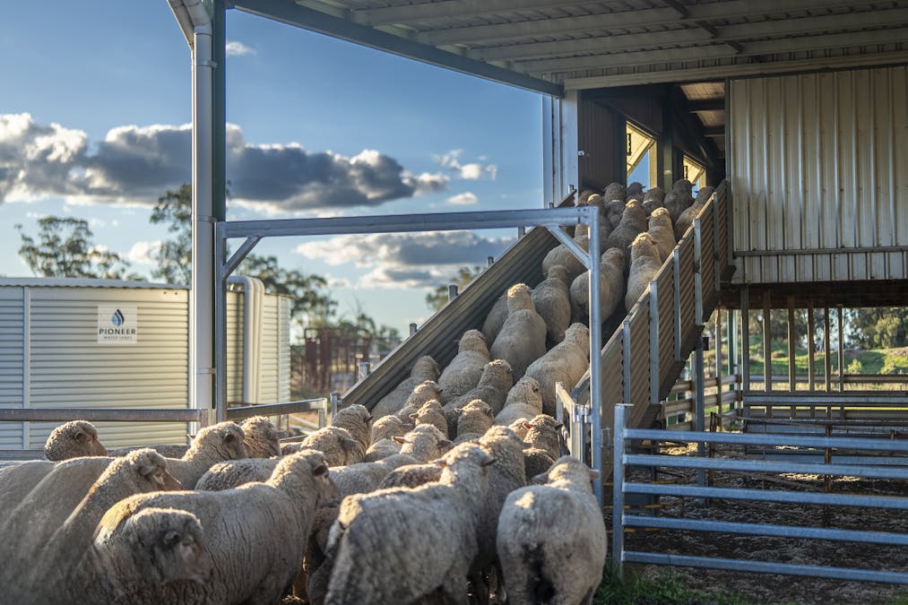 Ashford Heath 47 Adios Lane, Bogan Gate, NSW, 2876 - Image 10