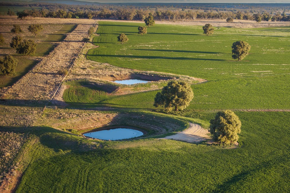 Ashford Heath 47 Adios Lane, Bogan Gate, NSW, 2876 - Image 12