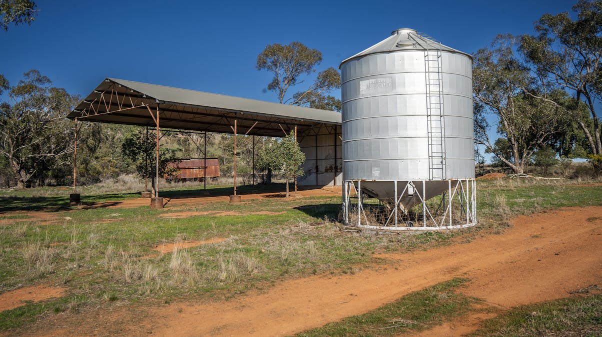 Ashford Heath 47 Adios Lane, Bogan Gate, NSW, 2876 - Image 21