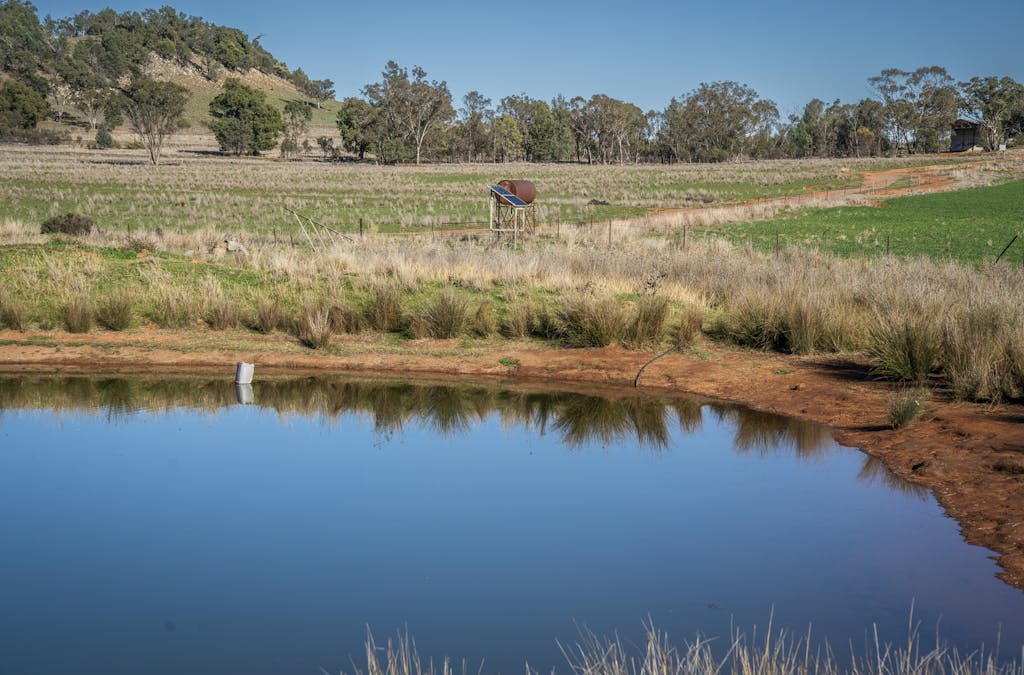 Ashford Heath 47 Adios Lane, Bogan Gate, NSW, 2876 - Image 30