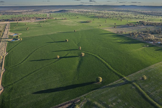 Ashford Heath 47 Adios Lane, Bogan Gate, NSW, 2876 - Image 1
