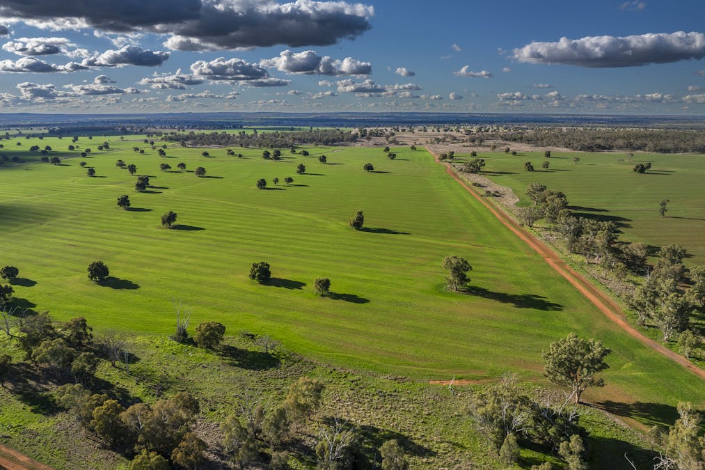 Ashford Heath 47 Adios Lane, Bogan Gate, NSW, 2876 - Image 3