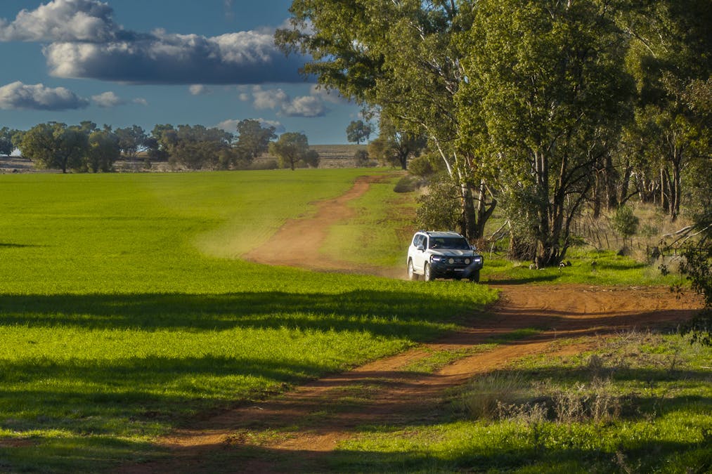 Ashford Heath 47 Adios Lane, Bogan Gate, NSW, 2876 - Image 27