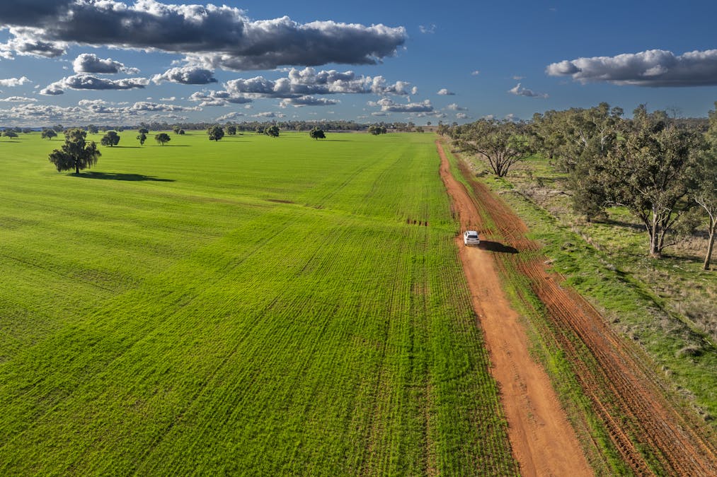 Ashford Heath 47 Adios Lane, Bogan Gate, NSW, 2876 - Image 28