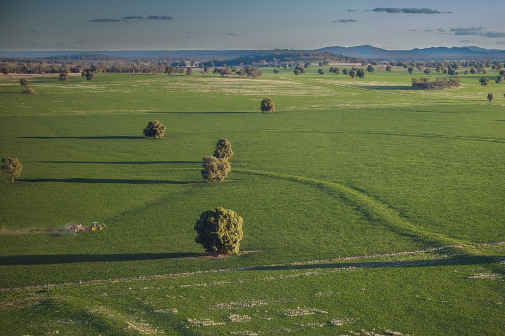 Ashford Heath 47 Adios Lane, Bogan Gate, NSW, 2876 - Image 34