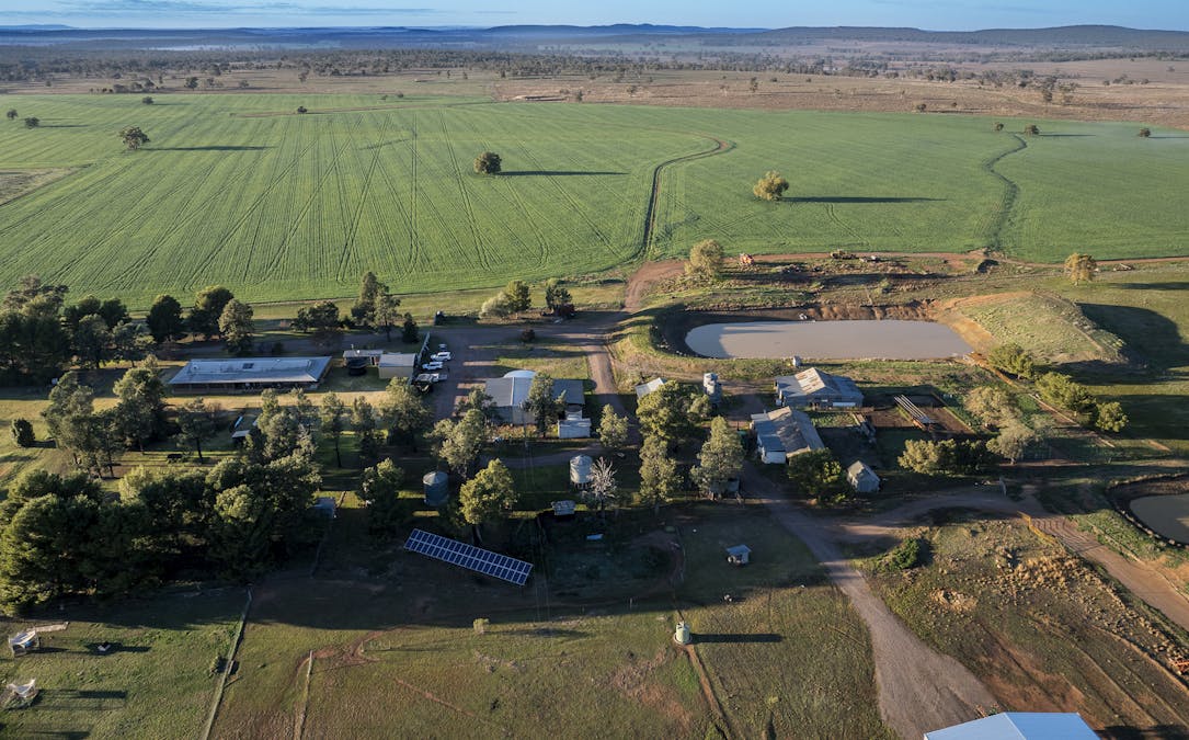 Ashford Heath 47 Adios Lane, Bogan Gate, NSW, 2876 - Image 13
