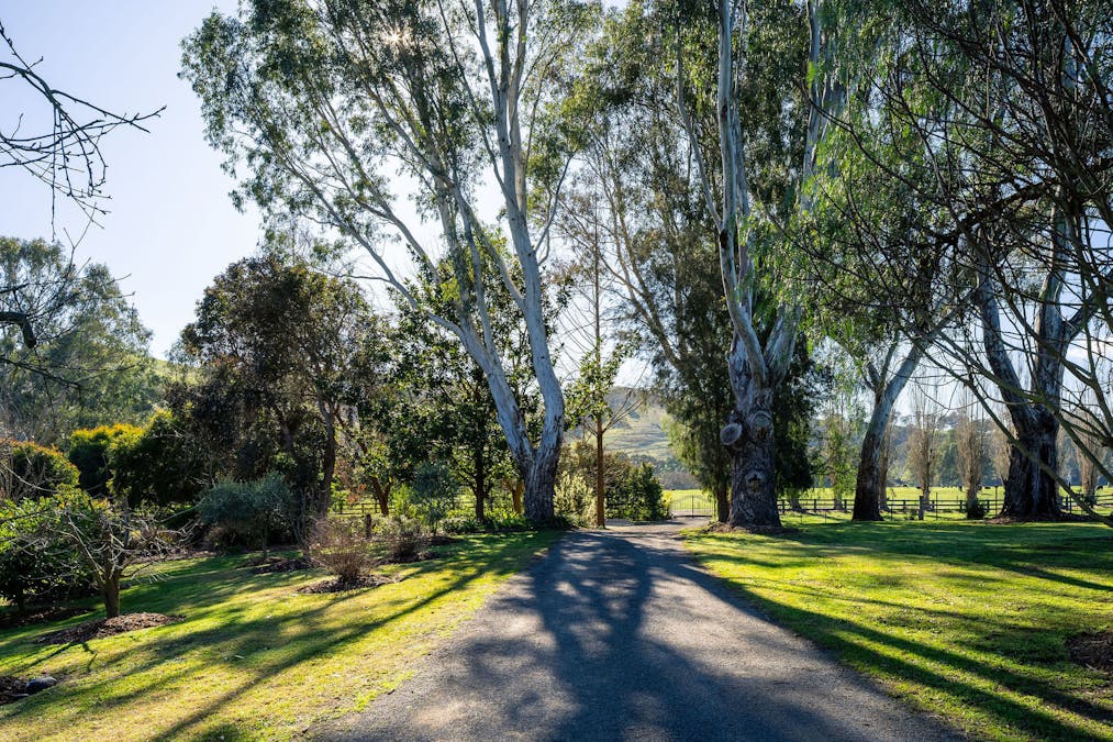 396 Back Eildon Road, Thornton, VIC, 3712 - Image 3