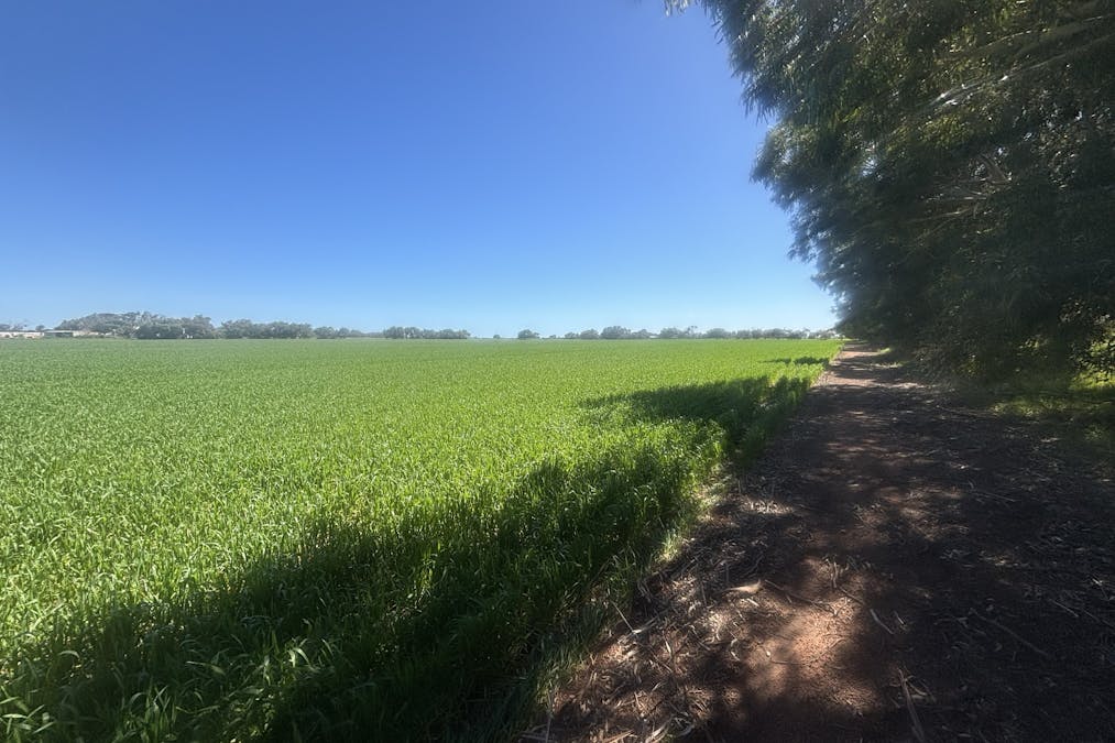 Lot 1152 Narngulu , Narngulu, WA, 6532 - Image 3