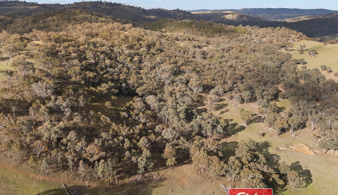 6843 Goulburn Road, Abercrombie River, NSW, 2795 - Image 16
