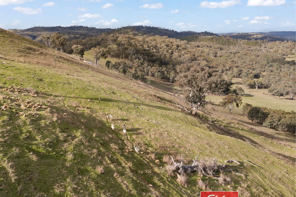 6843 Goulburn Road, Abercrombie River, NSW, 2795 - Image 17