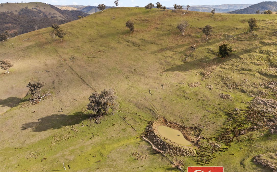 6843 Goulburn Road, Abercrombie River, NSW, 2795 - Image 12