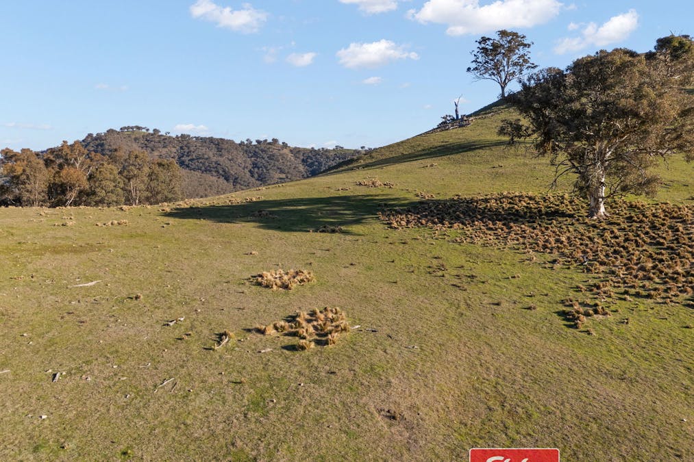 6843 Goulburn Road, Abercrombie River, NSW, 2795 - Image 13