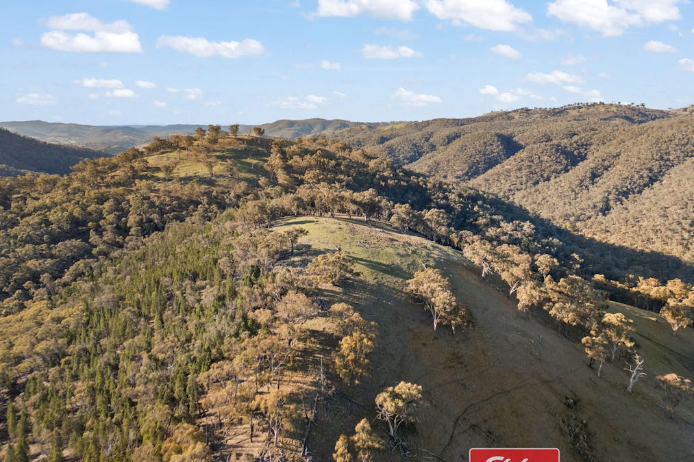 6843 Goulburn Road, Abercrombie River, NSW, 2795 - Image 18