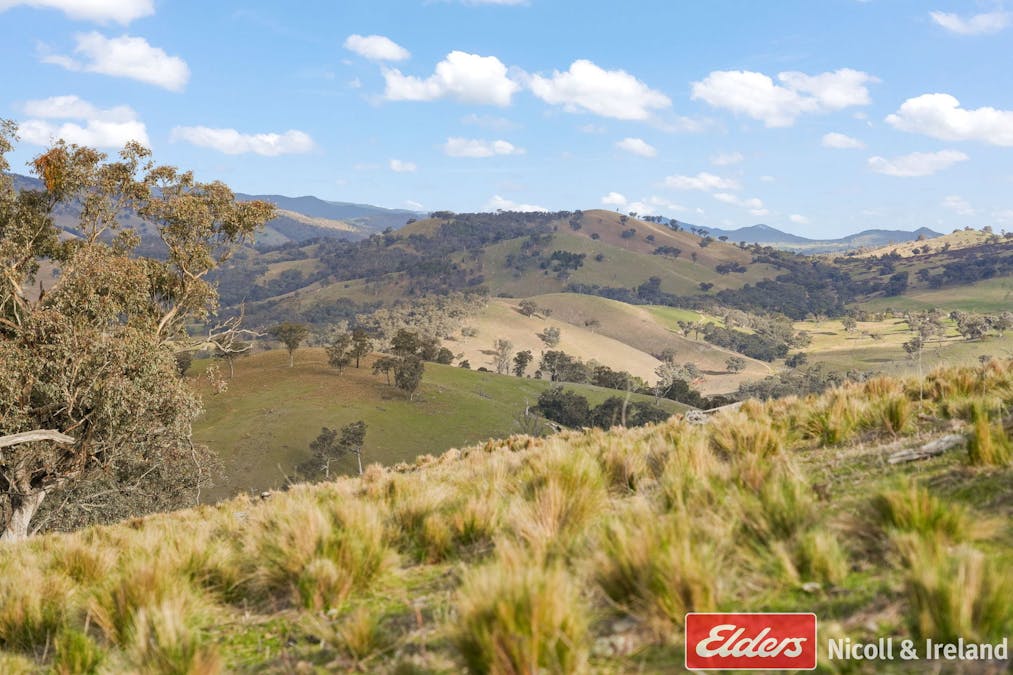 6843 Goulburn Road, Abercrombie River, NSW, 2795 - Image 5