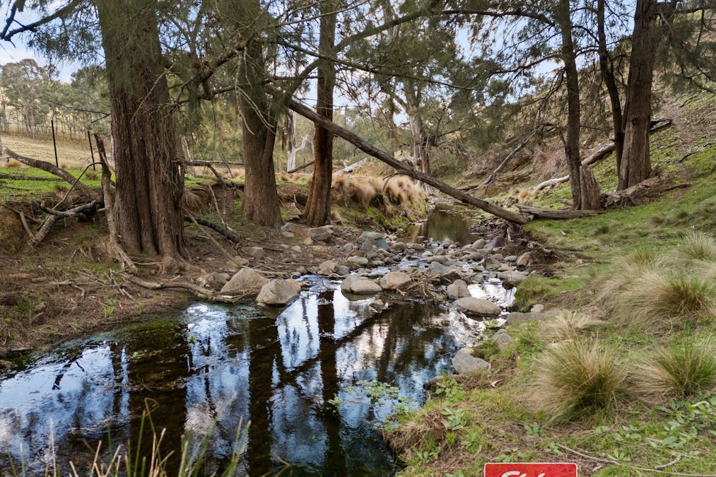 6843 Goulburn Road, Abercrombie River, NSW, 2795 - Image 9
