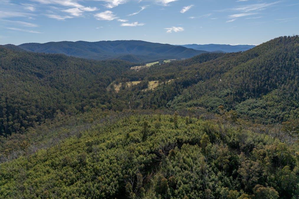 3954 Tulloch Ard Road, Buchan, VIC, 3885 - Image 3