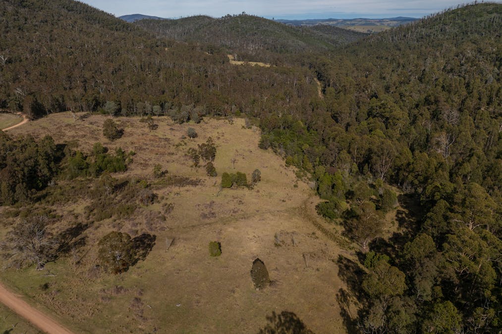 3954 Tulloch Ard Road, Buchan, VIC, 3885 - Image 4