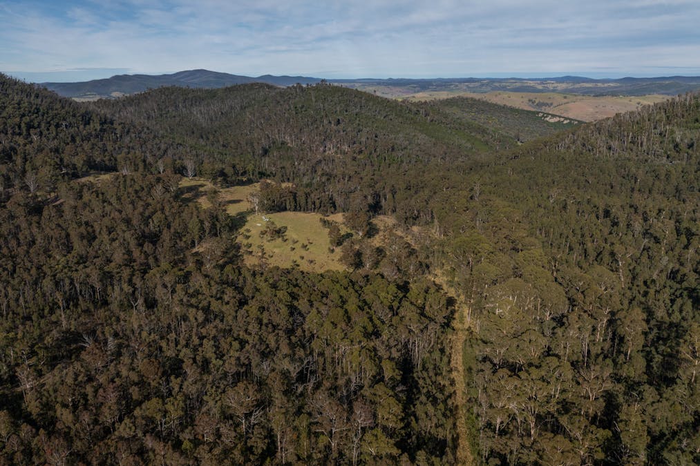 3954 Tulloch Ard Road, Buchan, VIC, 3885 - Image 1