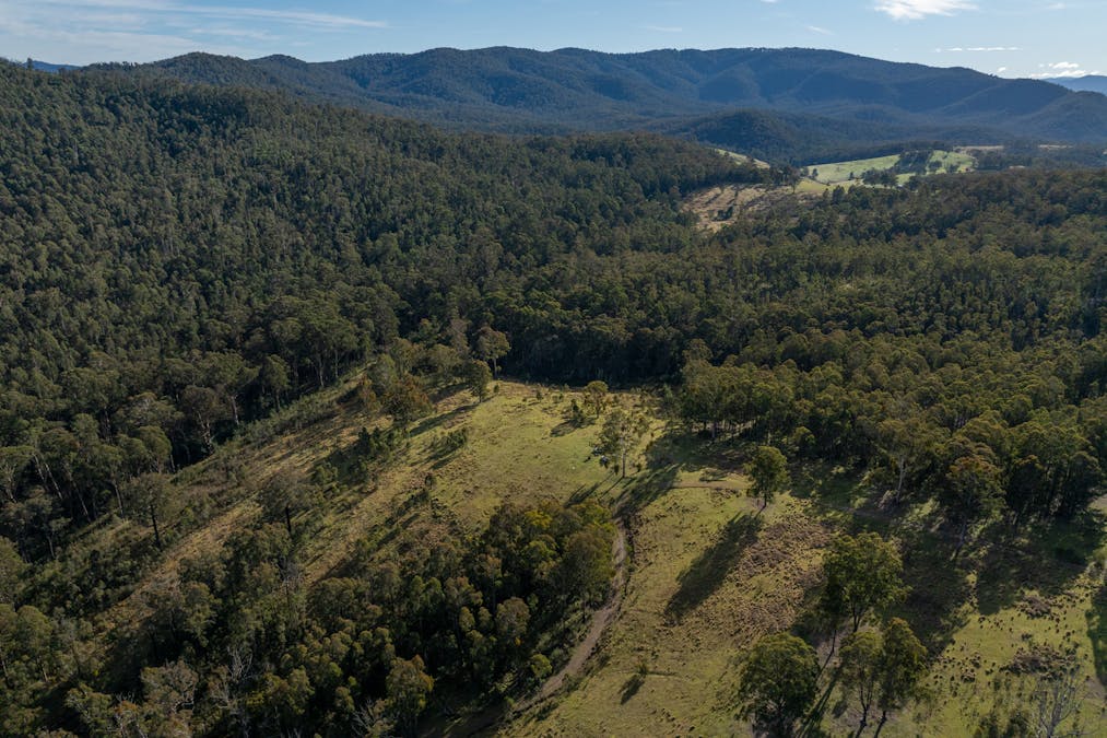 3954 Tulloch Ard Road, Buchan, VIC, 3885 - Image 6