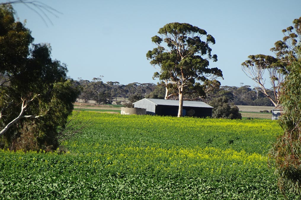1103 Bullaring - Gorge Rock Road, Bullaring, WA, 6373 - Image 12