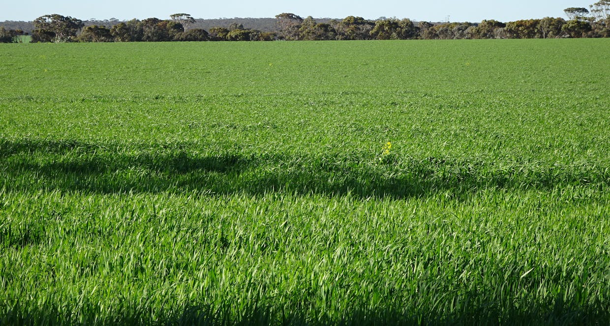 1103 Bullaring - Gorge Rock Road, Bullaring, WA, 6373 - Image 18