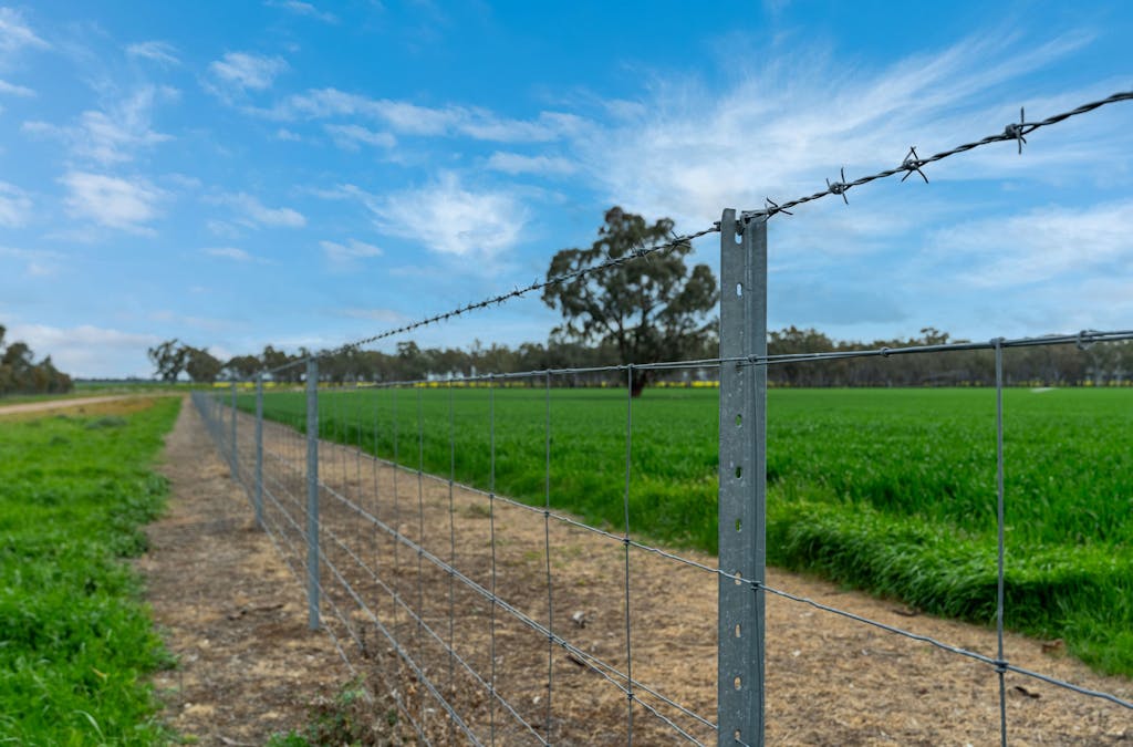 90 Kilnyana Road, Savernake, NSW, 2646 - Image 14