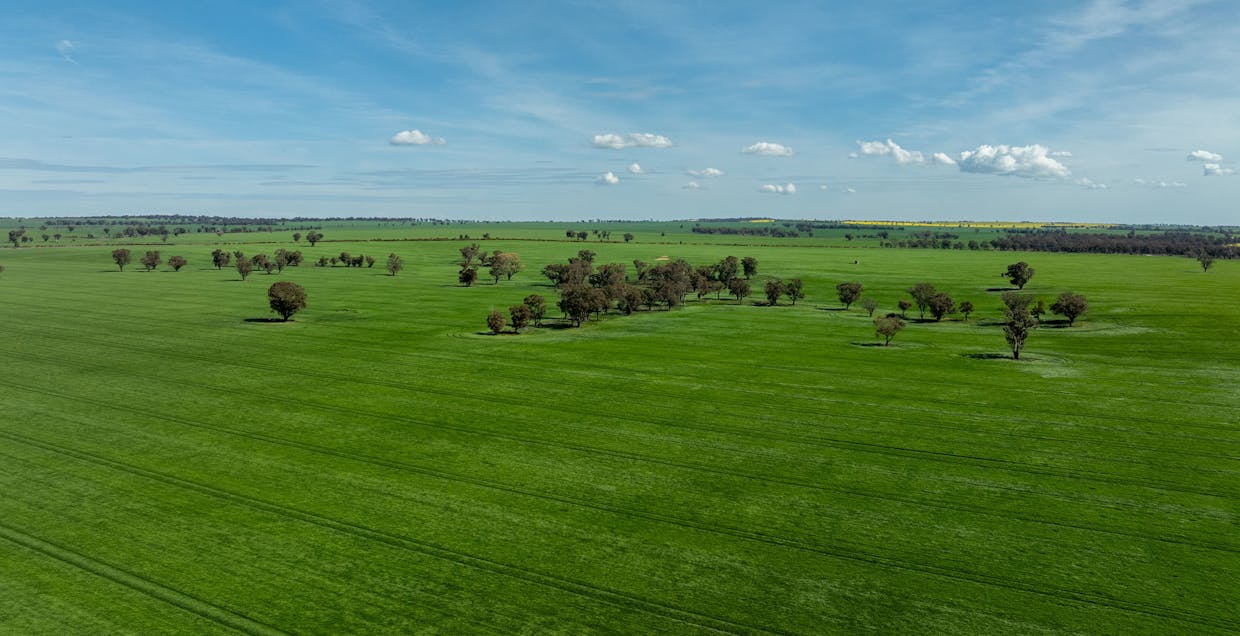90 Kilnyana Road, Savernake, NSW, 2646 - Image 18