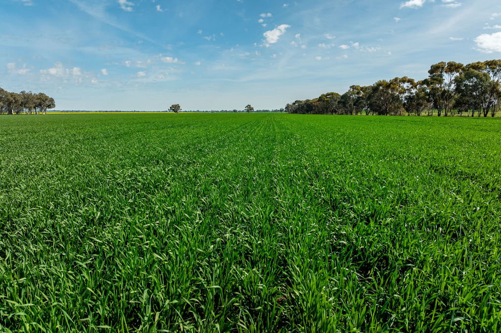 90 Kilnyana Road, Savernake, NSW, 2646 - Image 2