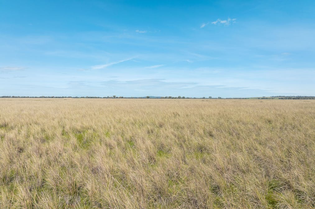 90 Kilnyana Road, Savernake, NSW, 2646 - Image 24